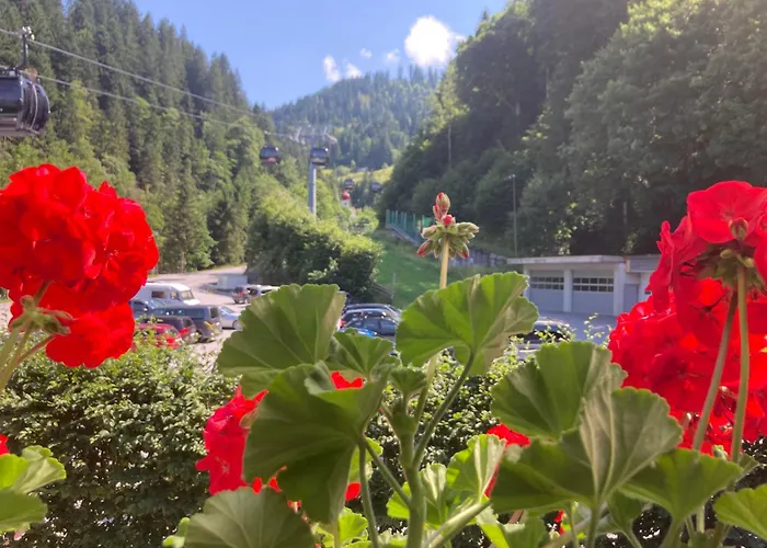 Moonlight Appartamento Söll